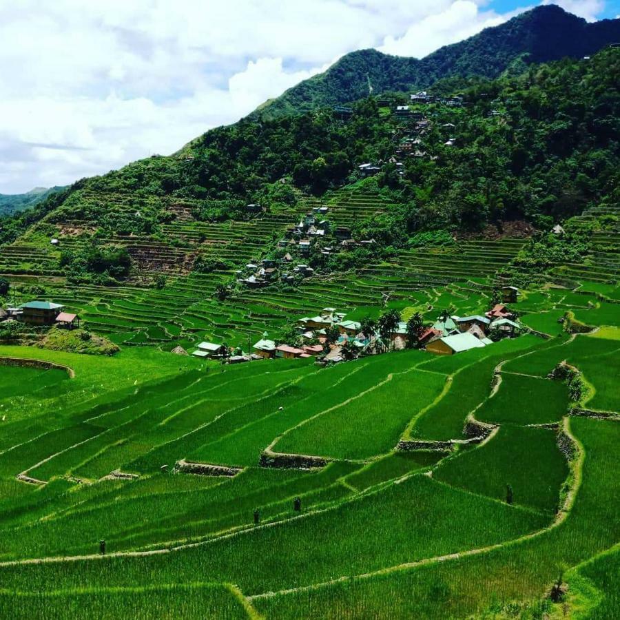 Batad Rita'S Mount View Inn And Restaurant Банаю Экстерьер фото